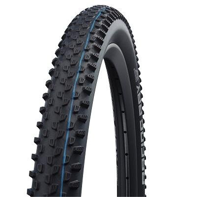 SCHWALBE Tire RACING RAY (54-622) 29x2.10 Evolution 67EPI 630g Black TLE SpeedGrip