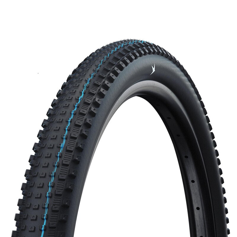 SCHWALBE Tire RICK XC PRO (62-622) 29x2.40 Evolution 67EPI 760g Black TLR SpeedGrip